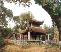 Tu bổ Nhà thờ phát diệm Ninh Bình